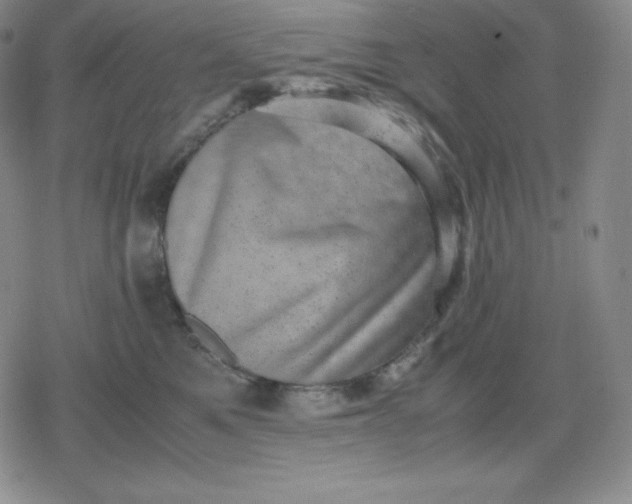 X0000080190521200612221344