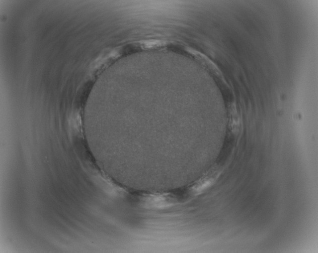 X0000080190523200612221344