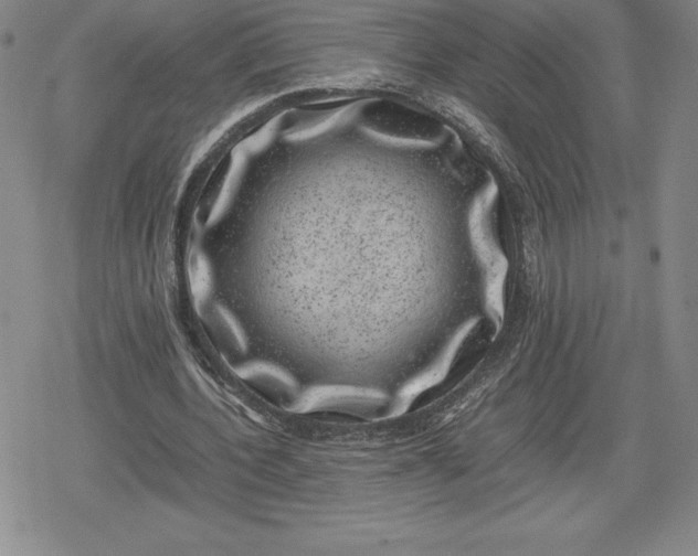 X0000080190532200612221343