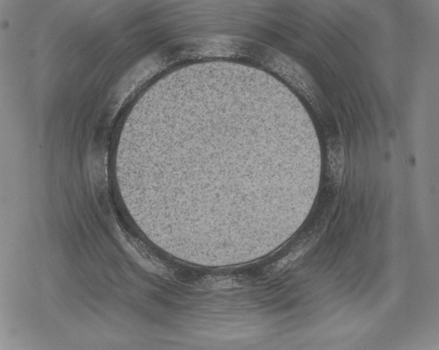 X0000080190534200612221343