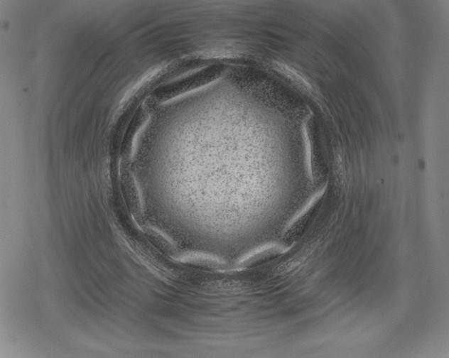 X0000080190535200612221343