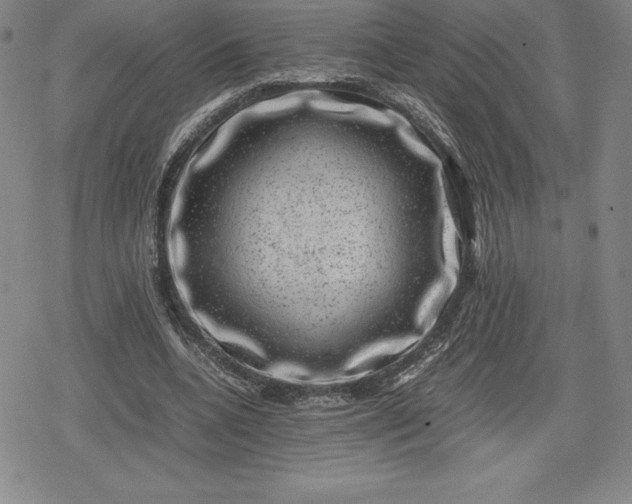 X0000080190536200612221343