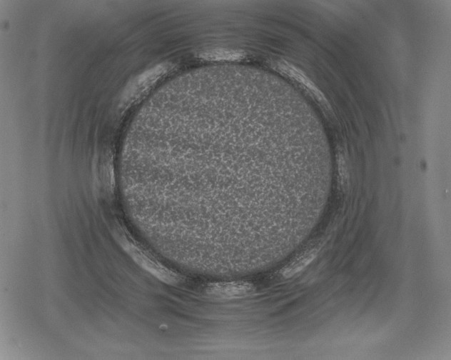 X0000080190541200612221343