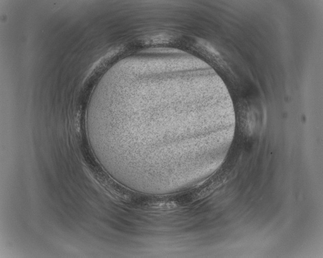 X0000080190543200612221343