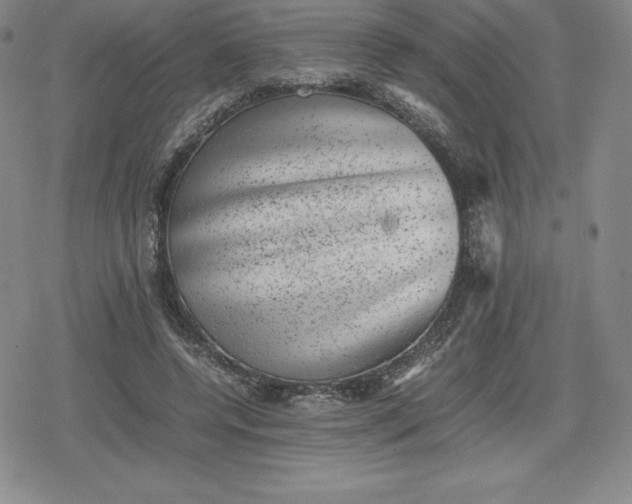 X0000080190544200612221343