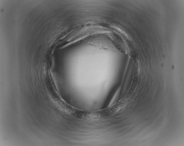 X0000080190546200612221343