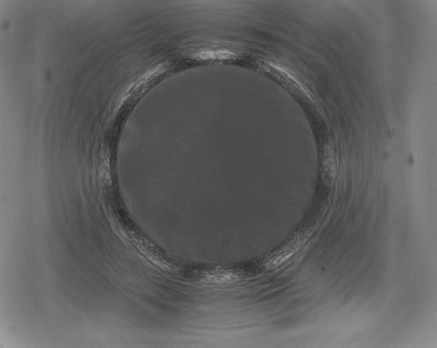 X0000080190547200612221343