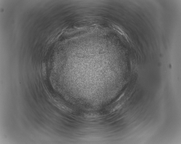 X0000080190549200612221343