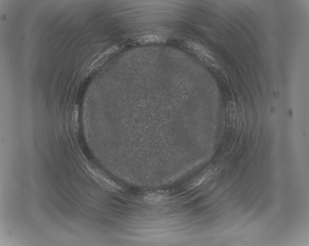 X0000080190550200612221343