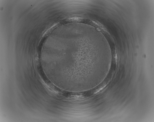 X0000080190552200612221343