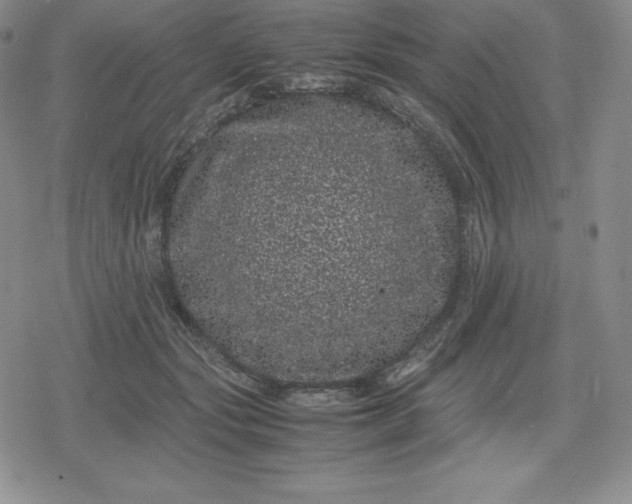 X0000080190557200612221343