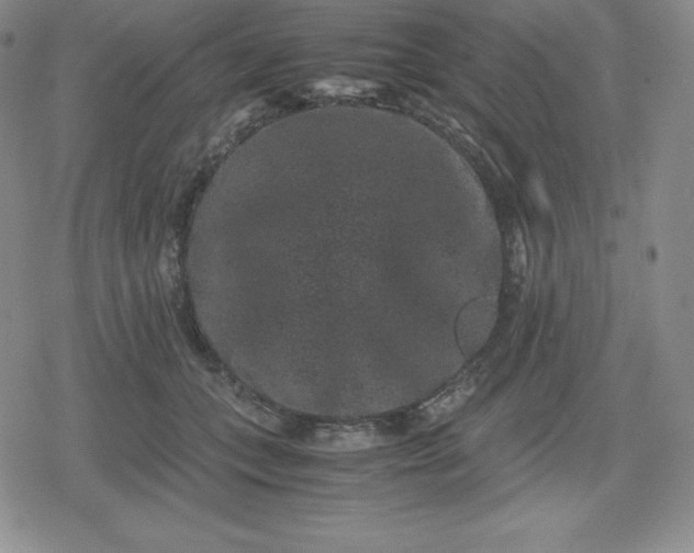 X0000080190559200612221343