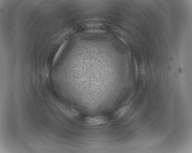 X0000080190567200612221343