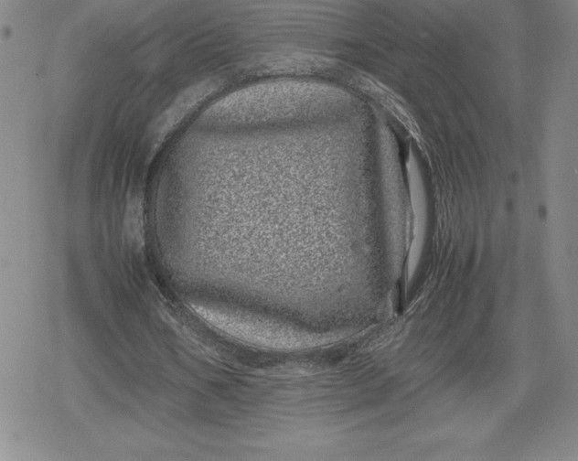 X0000080190578200612221343
