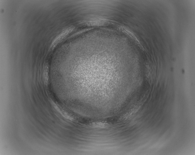 X0000080190586200612221343