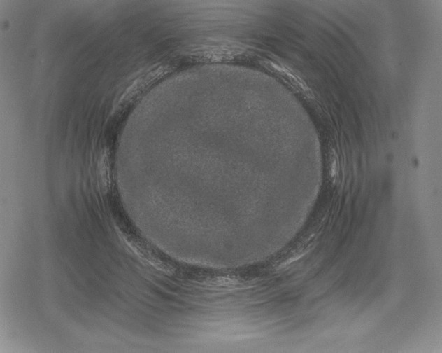 X0000080190594200612221343