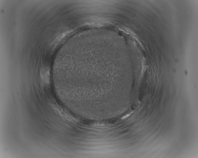 X0000080190596200612221342