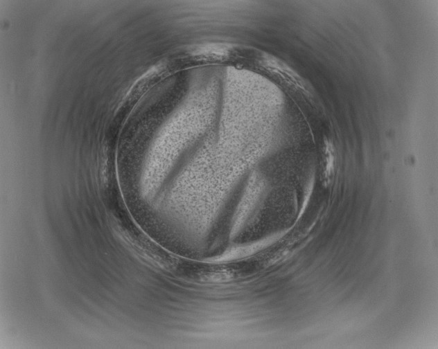X0000080190600200612221342