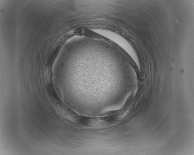 X0000080190605200612221342