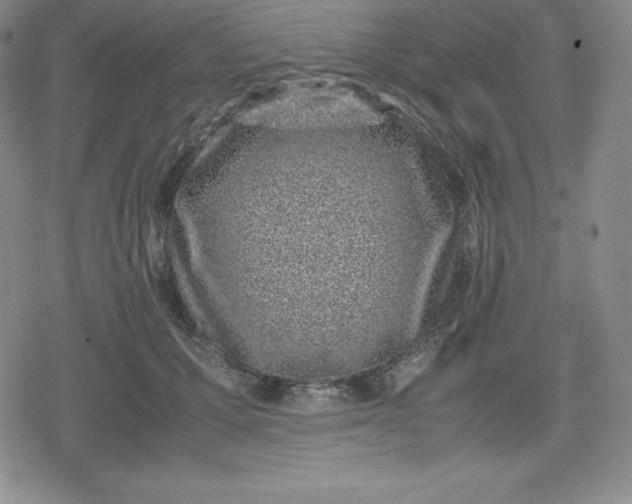 X0000080190607200612221342