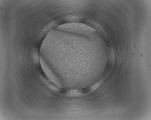 X0000080190622200612221342