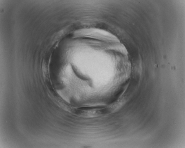 X0000080190623200612221342