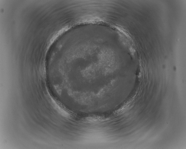 X0000080190630200612221341