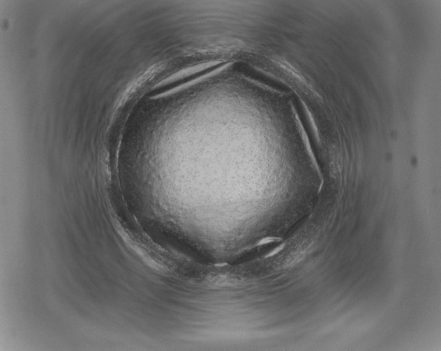 X0000080190634200612221341