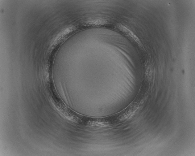 X0000080190635200612221341