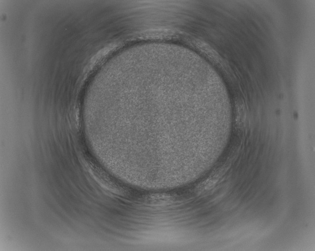 X0000080190636200612221341
