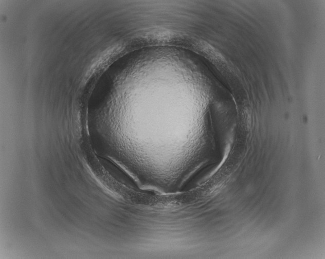 X0000080190638200612221341