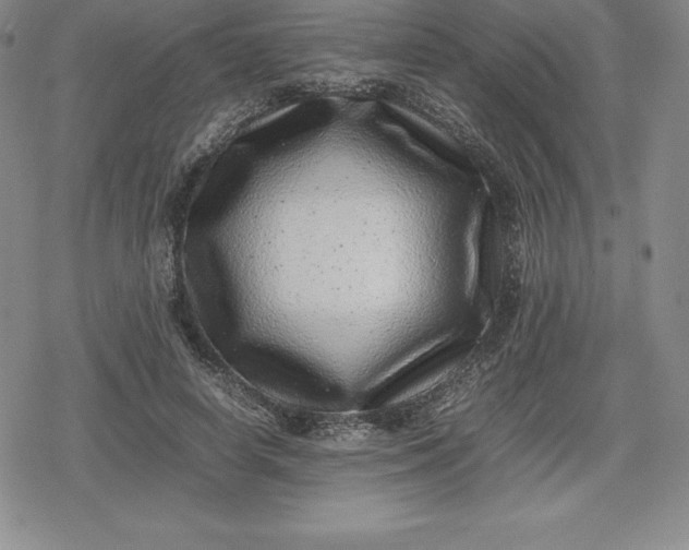 X0000080190642200612221342
