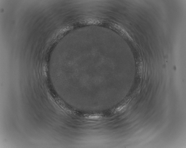 X0000080190643200612221342