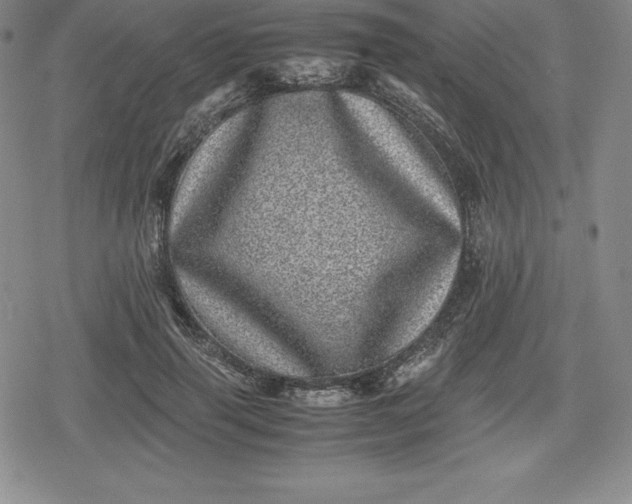X0000080190645200612221342