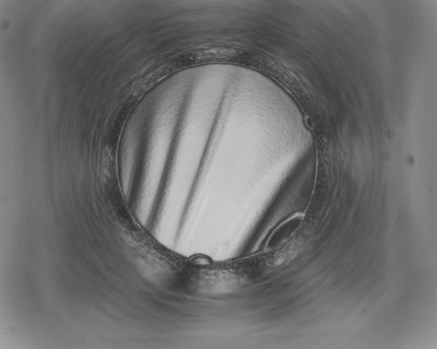 X0000080190649200612221342