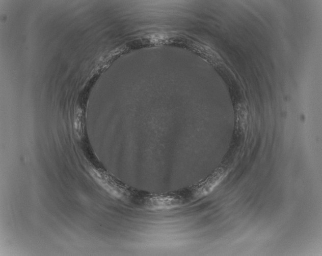 X0000080190650200612221342