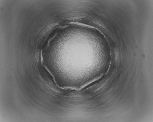 X0000080190652200612221342