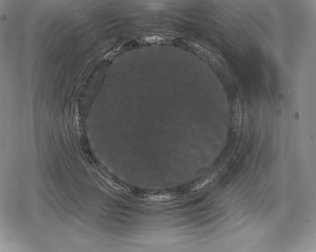 X0000080190653200612221342
