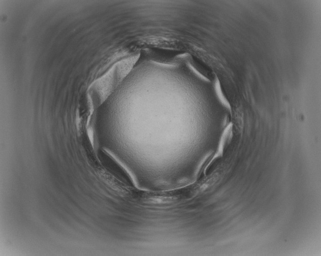 X0000080190657200612221342