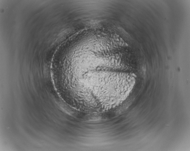 X0000080190658200612221342