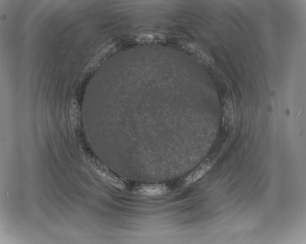 X0000080190659200612221342