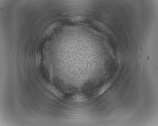 X0000080190660200612221342