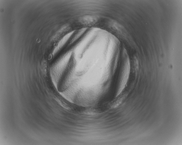X0000080190664200612221342