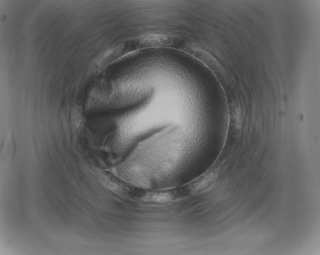X0000080190665200612221342