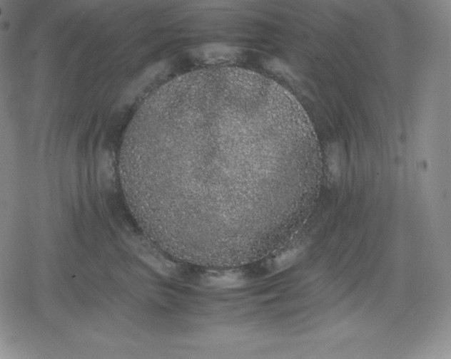 X0000080190667200612221342
