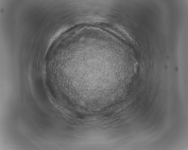 X0000080190679200612221341