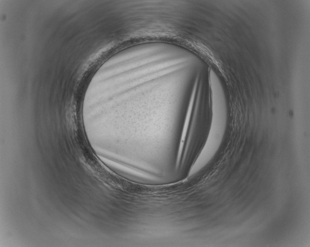 X0000080190680200612221341