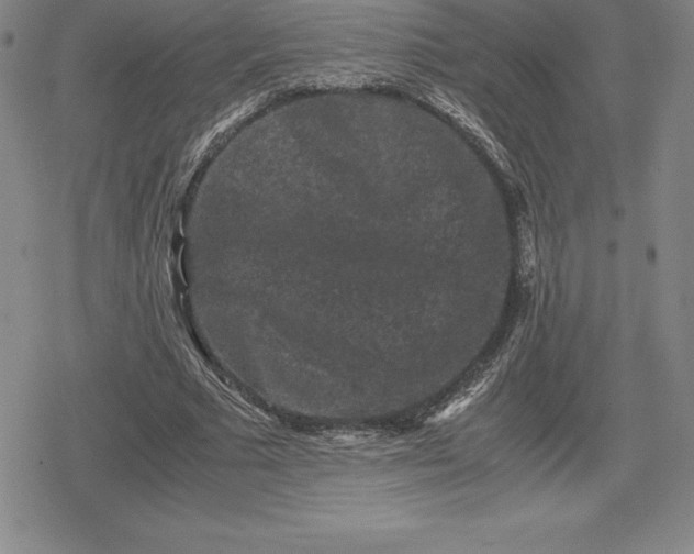X0000080190681200612221341