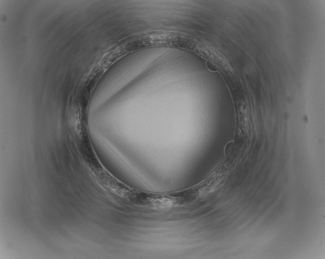 X0000080190698200612221341