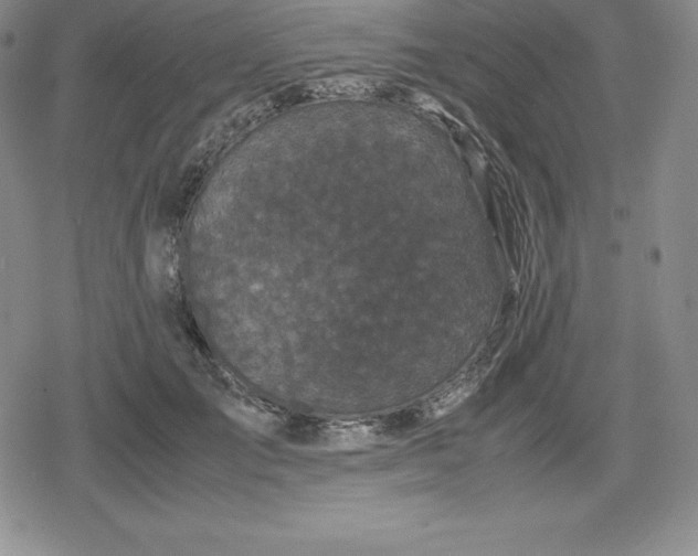 X0000080190701200612221341